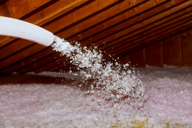 Best Residential Insulation in South Riding, VA