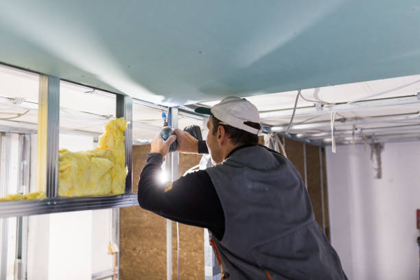 Best DIY Insulation Kits and Guidance in South Riding, VA
