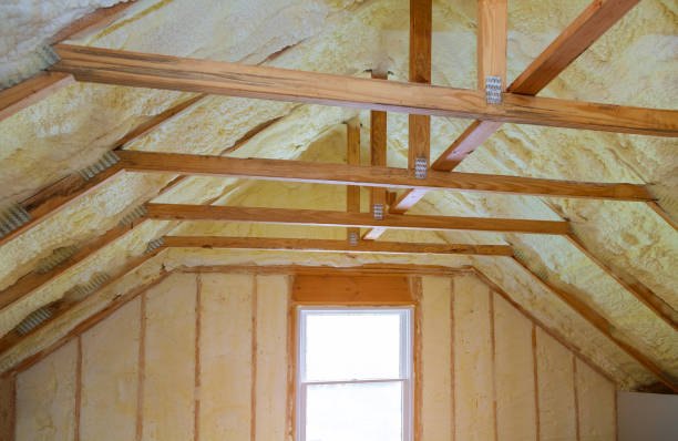 Best Spray Foam Insulation in South Riding, VA