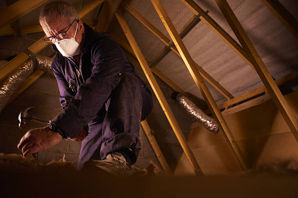 Best Commercial Insulation in South Riding, VA