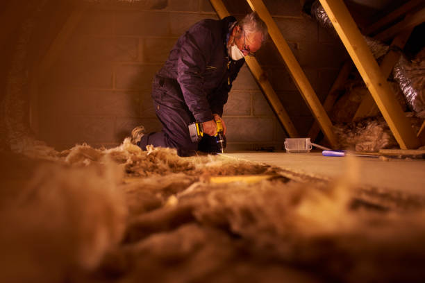 Best Geographic-Specific Insulation Services in South Riding, VA